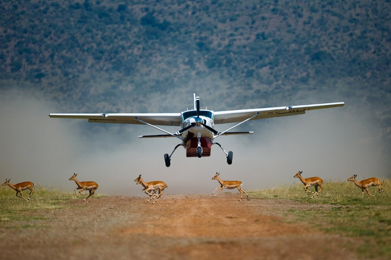 Maasai Mara Flying Safari