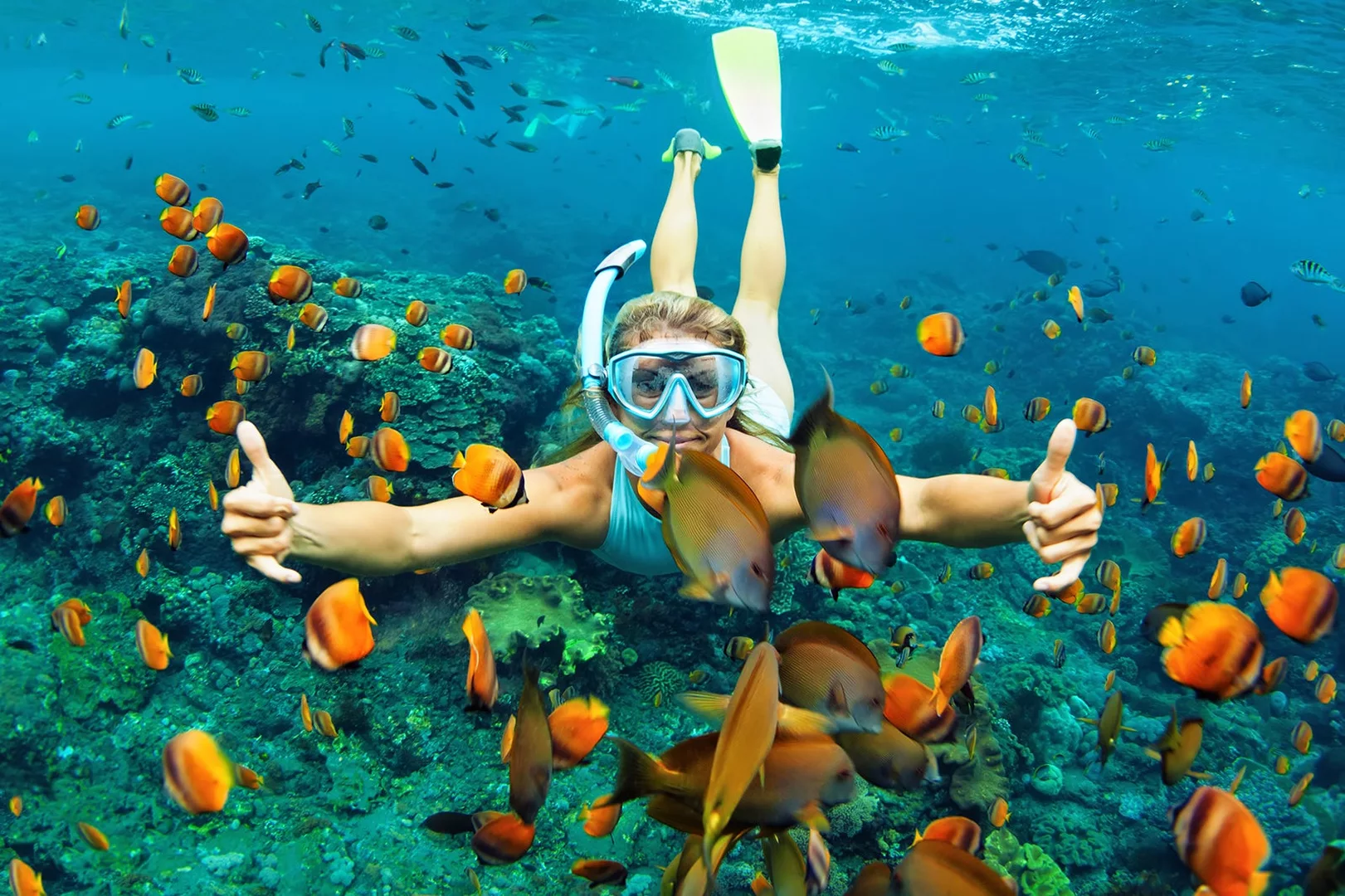 Snorkeling in Diani